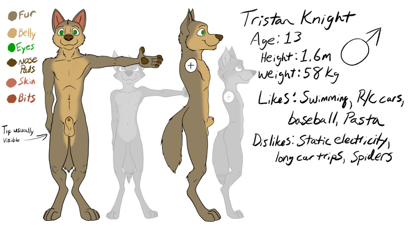 2017 4_toes anatomically_correct animal_genitalia animal_penis anthro balls brother canine canine_penis coyote cub digitigrade female flat_chested fur green_eyes hi_res hybrid male mammal misterpickleman model_sheet nipples nude pawpads penis pussy sheath sibling simple_background sister smile standing taylor_knight teenager text toes tristan_knight wolf young