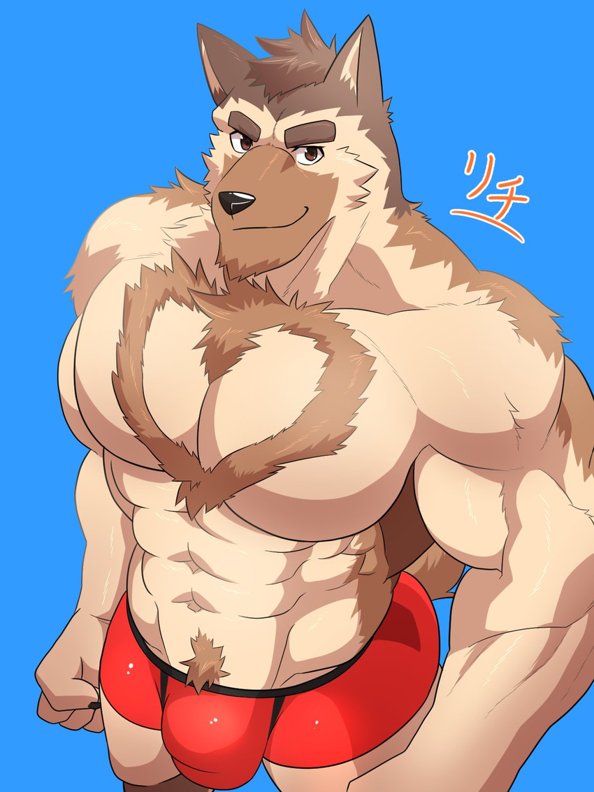 2017 abs anthro biceps bulge canine clothed clothing dog fur keijimohumohu male mammal muscular muscular_male pecs simple_background solo topless underwear