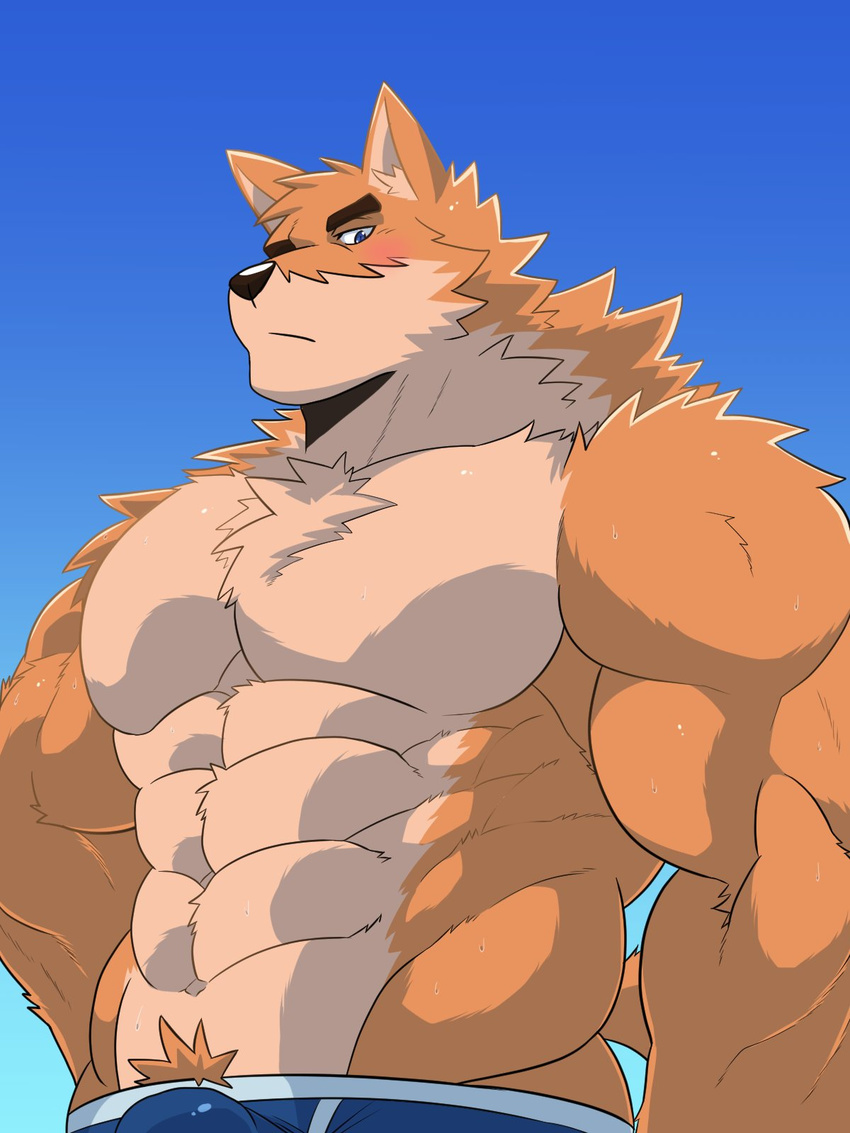2017 abs anthro biceps canine clothed clothing fur keijimohumohu male mammal muscular muscular_male pecs simple_background solo topless underwear