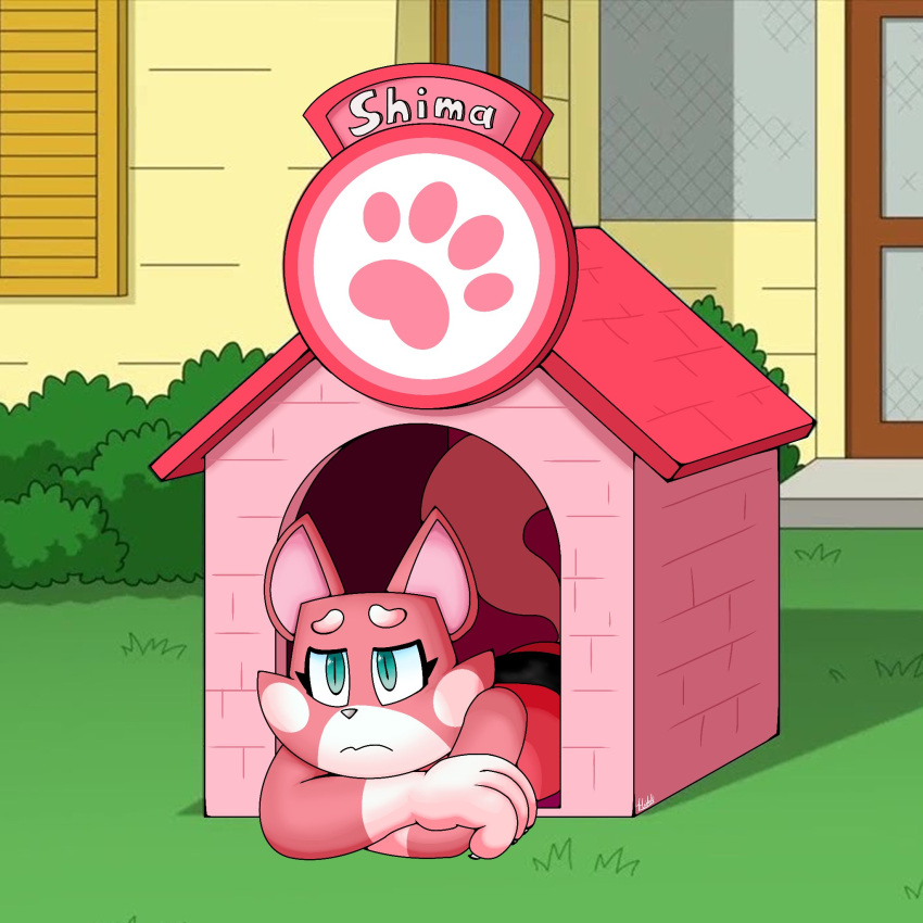 anthro blue_eyes building claws clothed clothing doghouse domestic_cat eyelashes family_guy felid feline felis female fur glaseeboy glistening glistening_eyes grass hi_res house mammal meme narrowed_eyes outside pink_body pink_fur plant shaded shadow shima_luan solo super_planet_dolan tired white_nose