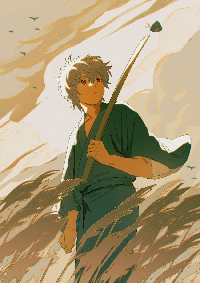 1boy aged_down bird bokken bug butterfly child chromatic_aberration clenched_hand cloud cloudy_sky curly_hair field gintama highres holding holding_sword holding_weapon japanese_clothes kimono kusuri looking_up male_focus open_mouth outdoors red_eyes sakata_gintoki sky solo sword v_formation weapon wooden_sword