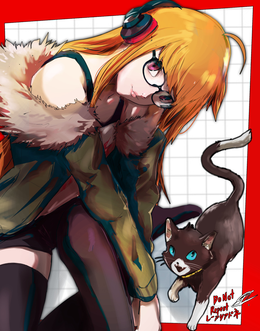 1girl absurdres ahoge behind-the-head_headphones black_shorts black_thighhighs blue_eyes border cat closed_mouth fur-trimmed_jacket fur_trim glasses green_jacket headphones highres jacket leaning_to_the_side lips looking_at_viewer morgana_(persona_5) orange_hair persona persona_5 purple_eyes rae_ariadne red_border sakura_futaba short_shorts shorts signature sitting smile thighhighs