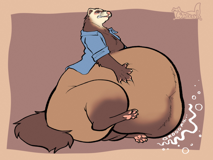 anthro balls bbm belly big_(disambiguation) bloated domestic_ferret furry gas genitals hi_res male mammal mustelid musteline obese obese_male overweight overweight_male pear-shaped_figure rumbling_stomach solo ssbbm tagme true_musteline vincent weasel wheezyl wide_hips