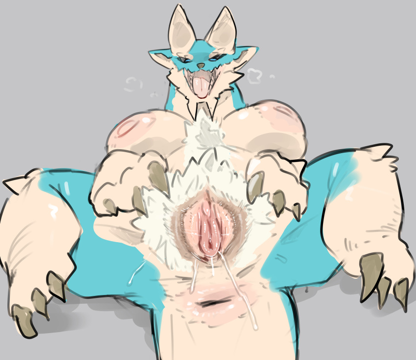 anthro anus areola bodily_fluids breasts capcom claws fanged_wyvern female fur genital_fluids genitals hair hi_res horn lying monster_hunter nipples nude presenting pussy solo solterv spread_legs spread_pussy spreading zinogre