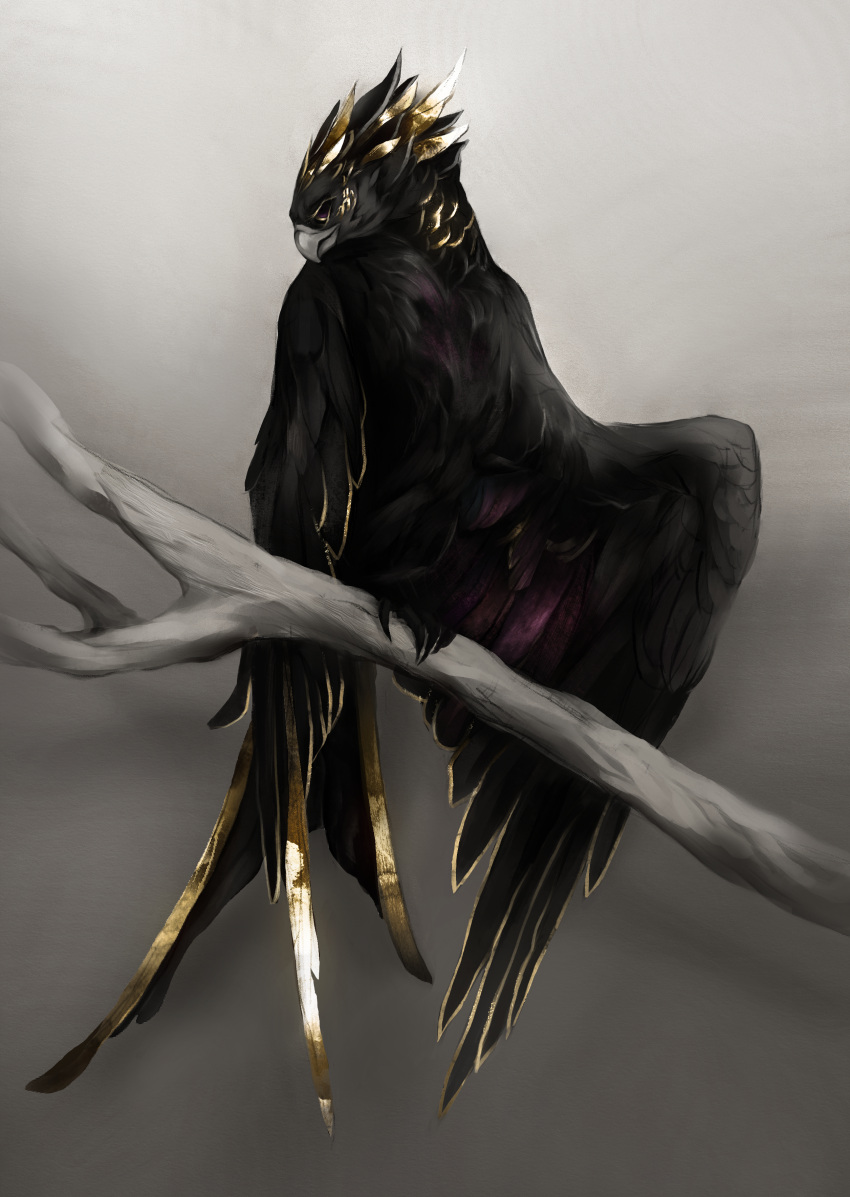 absurd_res ambiguous_gender avian beak black_body branch feathers feet feral hi_res kinryu_(aeternum) liit_alles purple_body purple_feathers simple_background solo talons toes yellow_body yellow_feathers