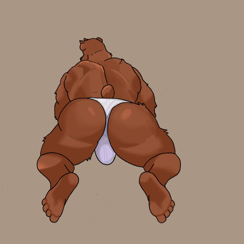 anthro bear brown_body bulge butt clothing erection fur hi_res male mammal reichik solo tail underwear