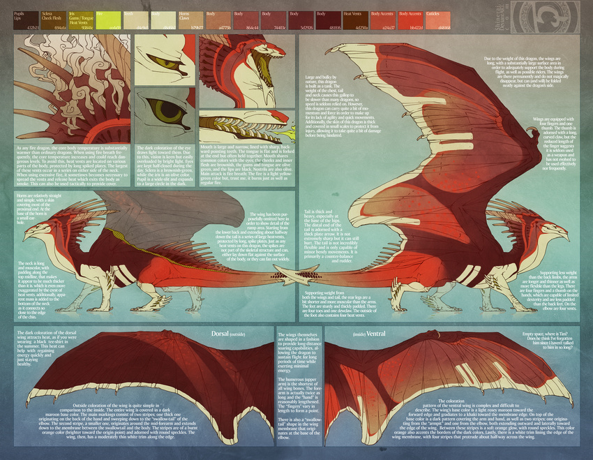 2012 digital_media_(artwork) dragon english_text feral horn membranous_wings model_sheet open_mouth scalie shinerai solo teeth text tongue western_dragon wings yellow_eyes yellow_tongue