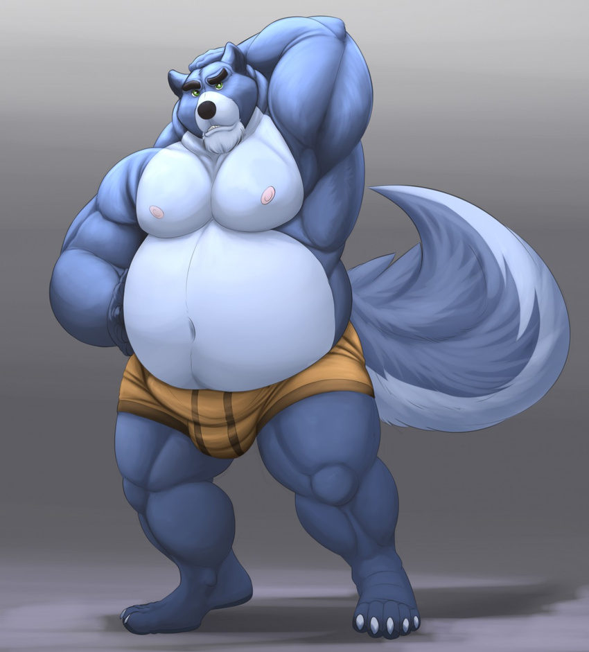 2017 5_toes anthro barefoot belly biceps big_belly big_muscles big_tail biped black_nose blue_fur blue_tail boxer_briefs brown_bottomwear brown_clothing brown_underwear bulge canine claws clothed clothing countershade_tail countershade_torso countershading digital_media_(artwork) erection erection_under_clothes eyebrows front_view full-length_portrait fur galvinwolf green_eyes grey_background hand_on_head hand_on_stomach hi_res looking_at_viewer male mammal multicolored_fur multicolored_tail musclegut muscular muscular_male navel nipples overweight overweight_male pecs portrait shadow simple_background solo standing toe_claws toes topless two_tone_fur two_tone_tail underwear white_belly white_claws white_countershading white_fur white_nipples white_tail wolf