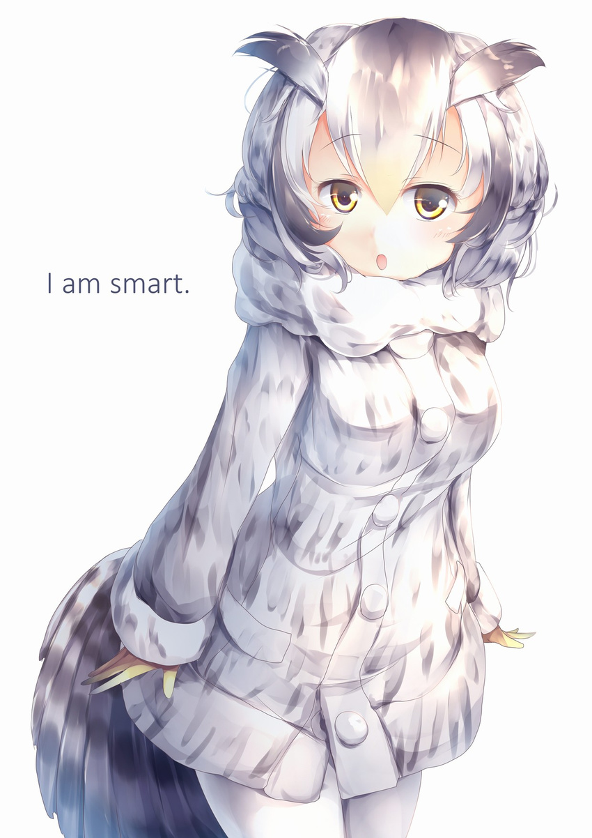 :o blonde_hair blush coat english eyebrows_visible_through_hair gloves grey_hair hair_between_eyes highres kanzakietc kemono_friends leaning_forward long_sleeves looking_at_viewer multicolored_hair northern_white-faced_owl_(kemono_friends) open_mouth solo standing tail_feathers white_background white_hair white_legwear yellow_eyes yellow_gloves