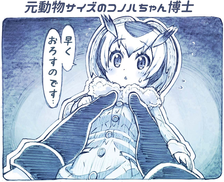 blue blush coat commentary_request eyebrows_visible_through_hair fur_collar gloves hair_between_eyes head_wings holding kemono_friends long_sleeves looking_at_viewer minigirl monochrome northern_white-faced_owl_(kemono_friends) open_mouth sakino_shingetsu short_hair solo sweatdrop translated