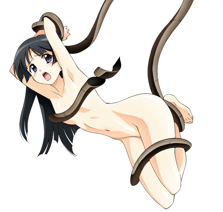 arms_up barefoot black_hair blue_eyes breasts covered_nipples jinki long_hair navel nude official_art open_mouth restrained simple_background small_breasts solo suspension tears tentacles tsunashima_shirou tsuzaki_aoba white_background
