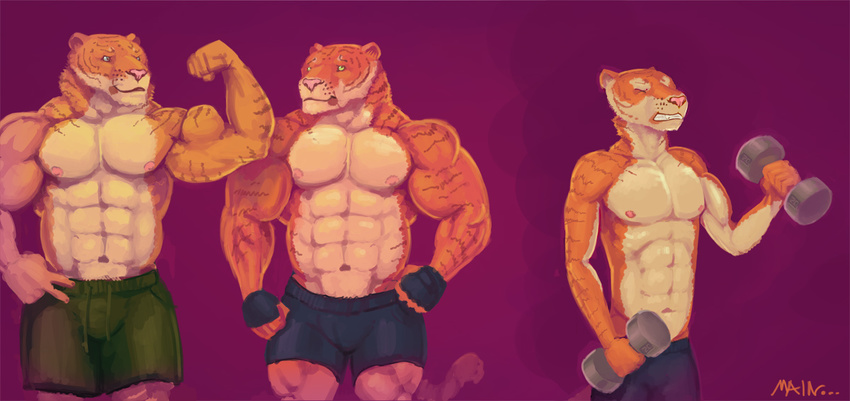 2011 anthro brad_(character) brothers chad_(character) clothed clothing exercise feline mainlion male mammal muscular muscular_male nipples partially_clothed presenting sam_(character) sibling simple_background tiger weightlifting workout