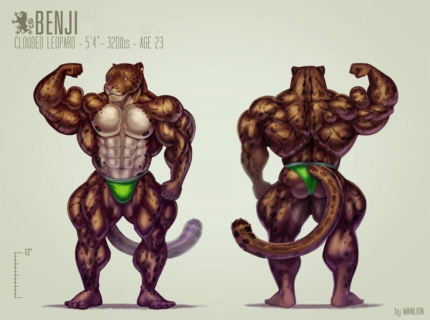2012 abs anthro areola benji_(character) bulge butt clothed clothing clouded_leopard ear_piercing feline flexing green_eyes jockstrap mainlion male mammal markings model_sheet muscular muscular_male nipples partially_clothed piercing tattoo underwear