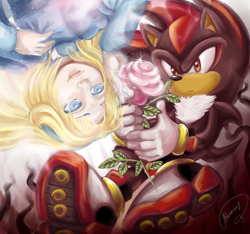 2012 anthro blonde_hair bloomth blue_eyes clothing dress female flower gloves group hair hedgehog human male mammal maria_robotnik plant red_eyes rose shadow_the_hedgehog sonic_(series)