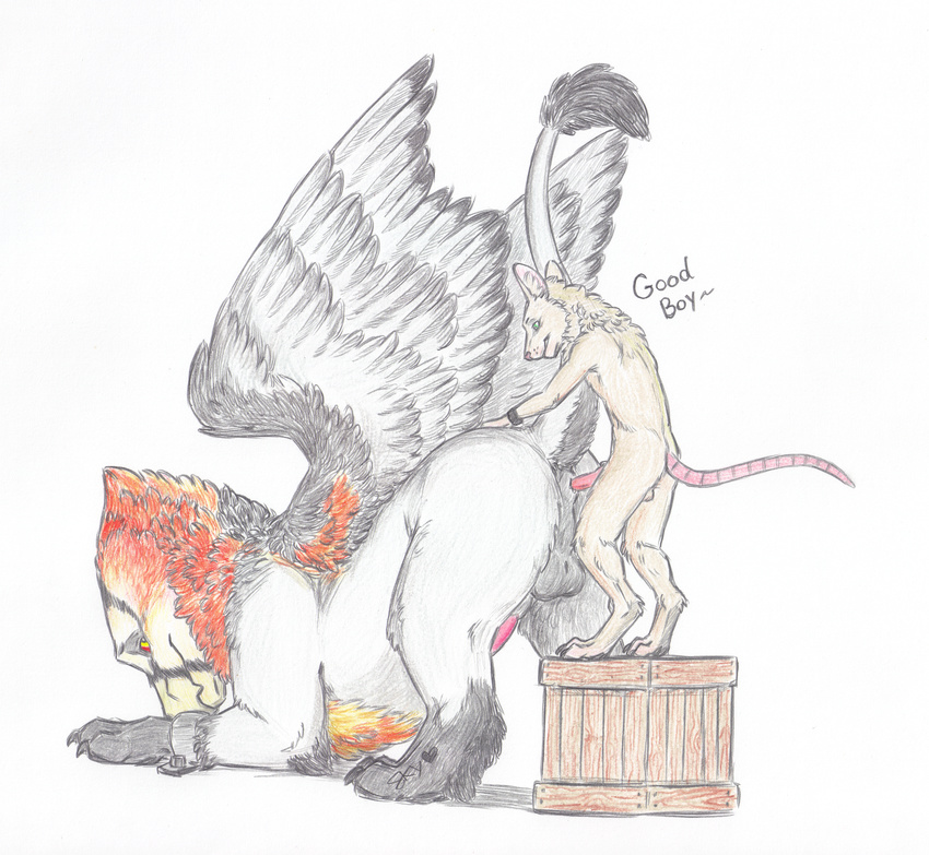 anal anthro anthro_on_feral avian bdsm bearded_vulture bestiality bird bondage bound feral gryphon male male/male mammal mouse rodent skyfifer vulture