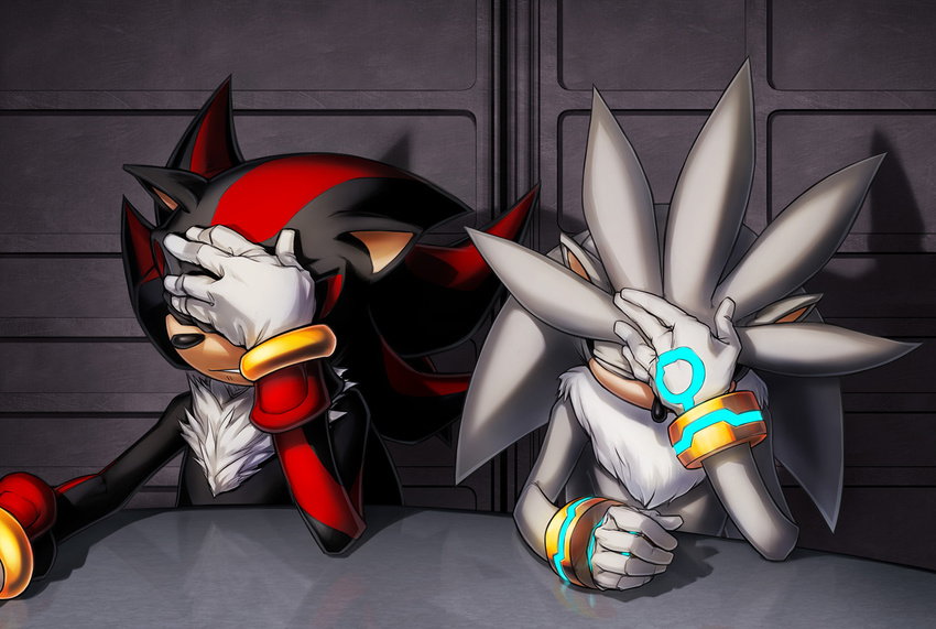 2014 anthro clothing facepalm gloves hedgehog inualet male mammal reaction_image shadow_the_hedgehog silver_the_hedgehog sonic_(series)