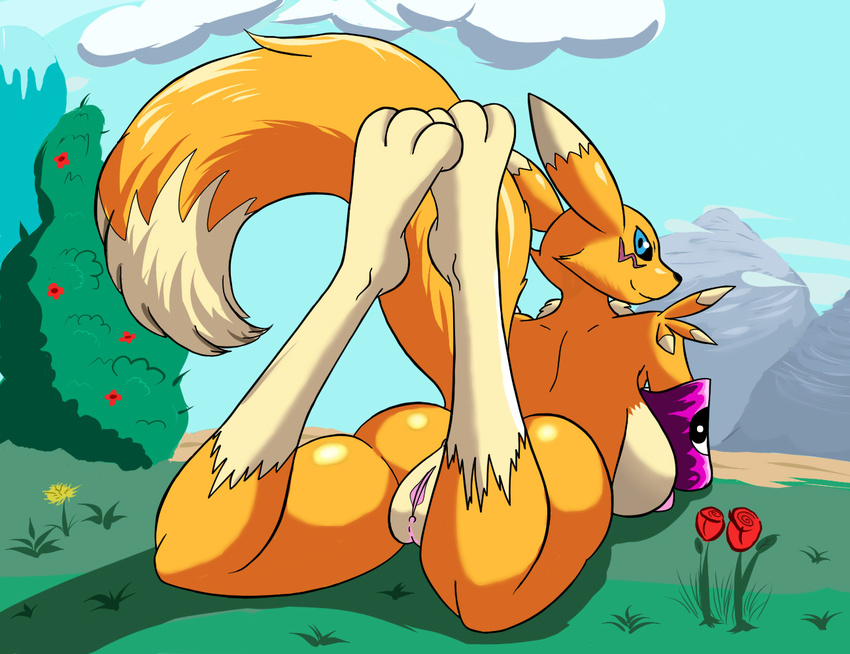 anthro big_breasts big_butt black_nose breasts butt canine chippo digimon female fox fur looking_back lying mammal mountain nude on_front outside plump_labia pussy renamon side_boob smile solo white_fur yellow_fur