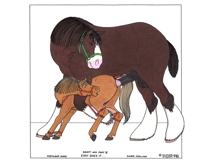 1998 animal_genitalia animal_penis animal_pussy balls bdsm big_dom_small_sub bondage bound bridle brown_eyes brown_fur brown_sclera duo english_text equine equine_penis equine_pussy female feral feral_on_feral from_behind_position fur harness hooves horse large_penetration larger_male looking_back male male/female mammal markings mounting multicolored_fur penetration penis pony pussy sex shetland simple_background size_difference smaller_female socks_(marking) spreader_bar teats text tim_o'rourke two_tone_fur vaginal vaginal_penetration white_background white_fur