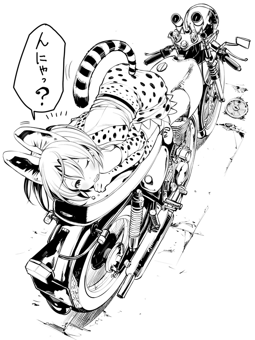 animal_ears bow bowtie commentary_request elbow_gloves fukushima_masayasu gloves ground_vehicle highres kemono_friends motor_vehicle motorcycle serval_(kemono_friends) serval_ears serval_print serval_tail shirt sleeveless sleeveless_shirt striped_tail tail translated waking_up