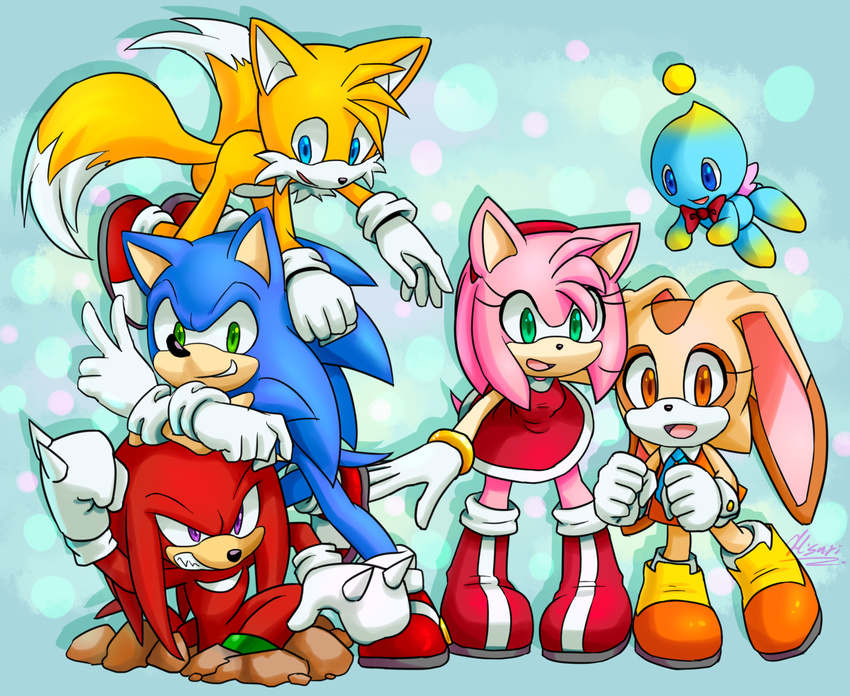 2014 amy_rose canine chao cheese_the_chao clothing cream_the_rabbit echidna female fox fur gloves hedgehog knuckles_the_echidna lagomorph male mammal miles_prower monotreme myly14 rabbit sonic_(series) sonic_the_hedgehog