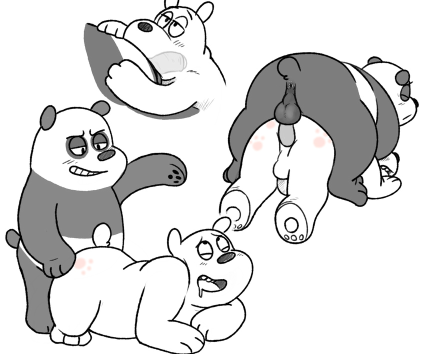 anal anal_penetration anus balls bear bowserboy101 cartoon_network duo fellatio grizzly_(wbb) grizzly_bear male male/male mammal monochrome oral panda panda_(wbb) penetration penis sex we_bare_bears