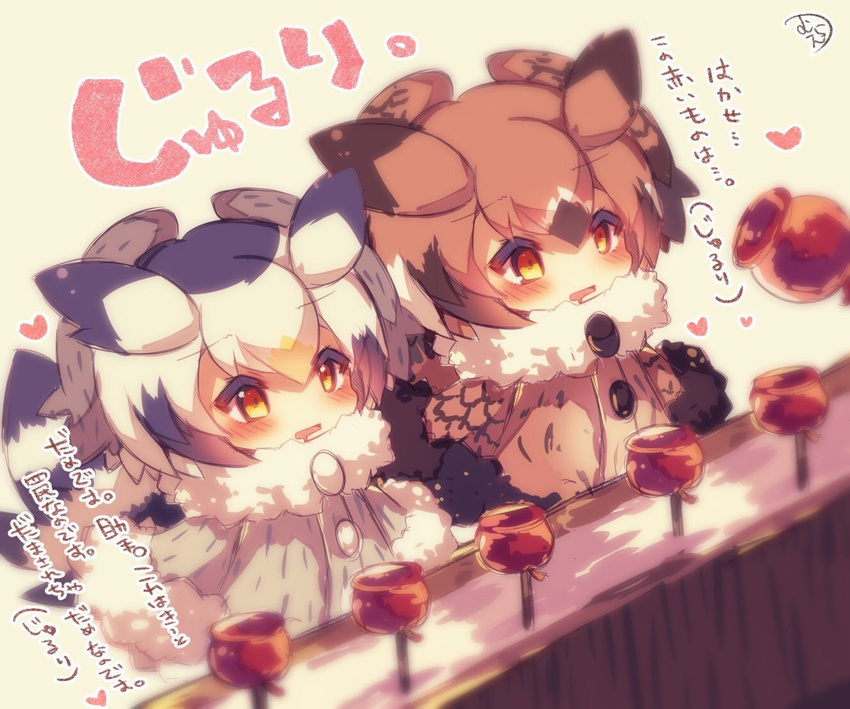 bangs beige_background black_hair blush brown_coat brown_eyes brown_hair candy_apple coat colored_eyelashes commentary_request drooling eurasian_eagle_owl_(kemono_friends) eyebrows_visible_through_hair feathers food fur-trimmed_coat fur-trimmed_sleeves fur_collar fur_trim grey_coat grey_hair hair_between_eyes heart kemono_friends long_sleeves multicolored multicolored_hair multiple_girls muuran northern_white-faced_owl_(kemono_friends) orange_hair parted_lips red_eyes signature simple_background translated white_hair