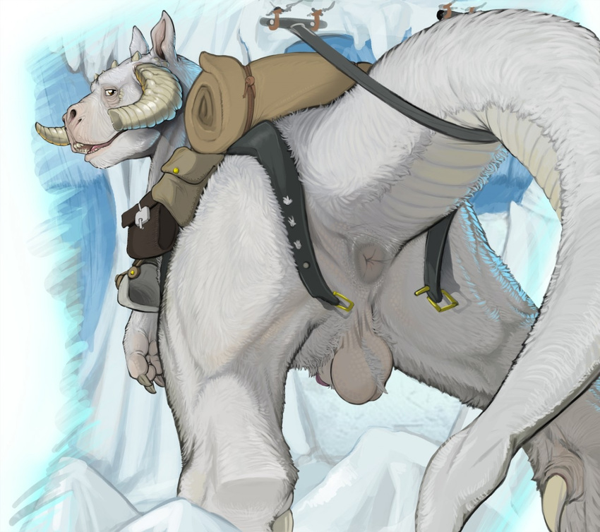 2015 animal_genitalia anus backsack ball_tuft balls belt butt feral fur horn licking looking_at_viewer looking_back low-angle_view male mount narse nude penis penis_tip saddle sheath solo star_wars tauntaun tongue tongue_out white_body white_fur