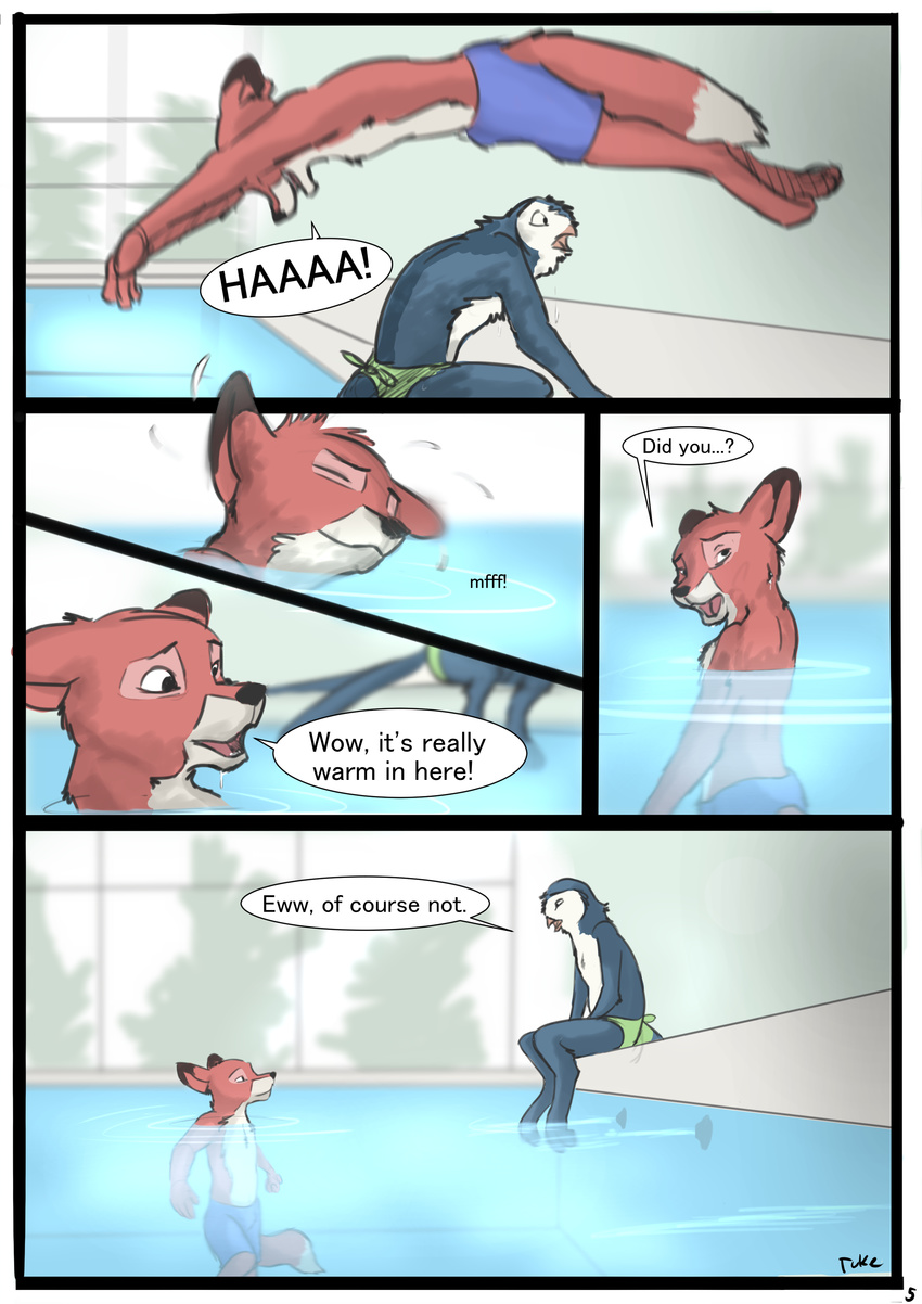 2016 absurd_res anthro avian beak bird black_nose canine casey_(tuke) clothed clothing comic detailed_background dialogue digital_media_(artwork) duo english_text fox fur graham_(tuke) hi_res inside looking_back male mammal open_mouth owl partially_submerged speech_bubble surprise swimming_pool swimming_trunks swimsuit text tuke water wet wet_fur