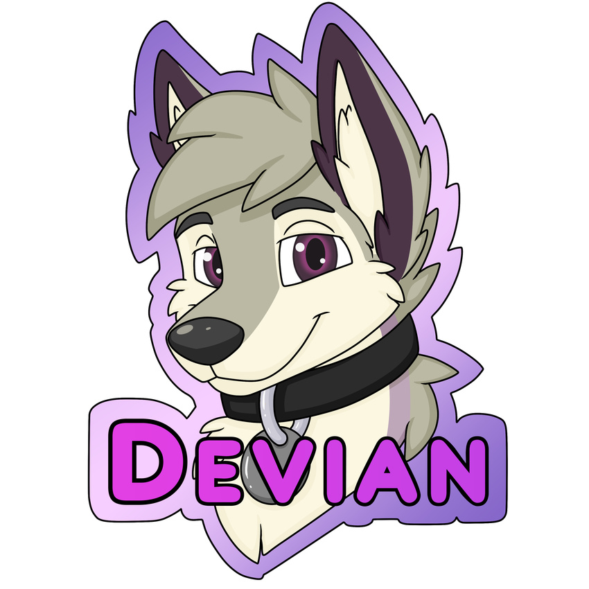 badge canine collar devian fox gift male mammal snootbooper