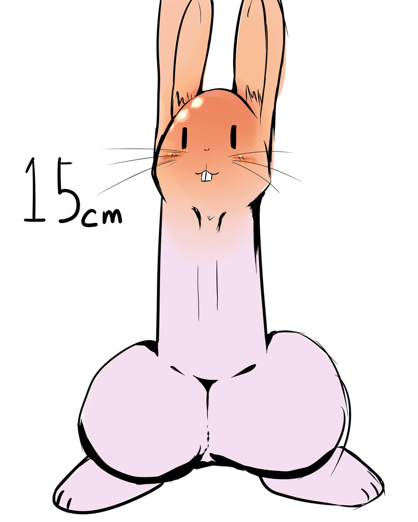 bunny dagasi erection hi_res humor lagomorph male mammal penis penis_creature plain_background rabbit solo what white_background