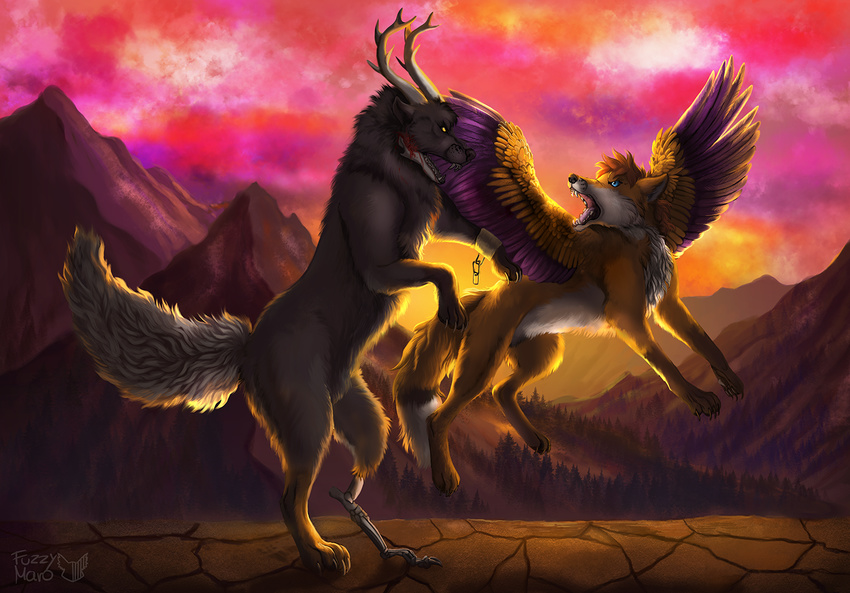 angry canine duo feral fight fox fuzzymaro horn mammal mountain sunset wolf