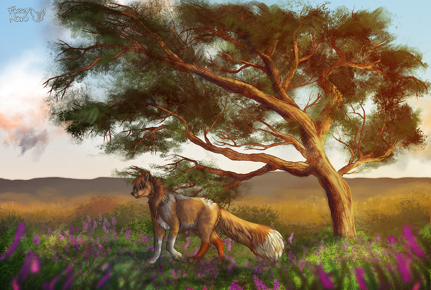 canine day digital_media_(artwork) feral flower fox fuzzymaro happy mammal meadow moor outside plant sky sunset tree walking
