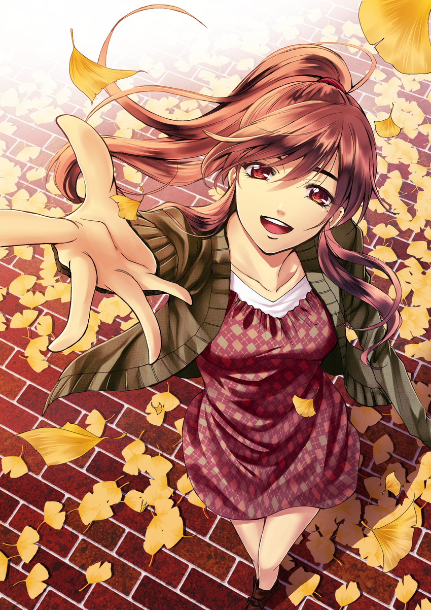 absurdres arm_up brown_hair brown_jacket day dress floating_hair from_above fuuka ginkgo_leaf hair_between_eyes high_ponytail highres jacket koyuki_hinashi leaf long_hair looking_at_viewer open_clothes open_jacket outdoors red_dress red_eyes seo_kouji short_dress solo very_long_hair