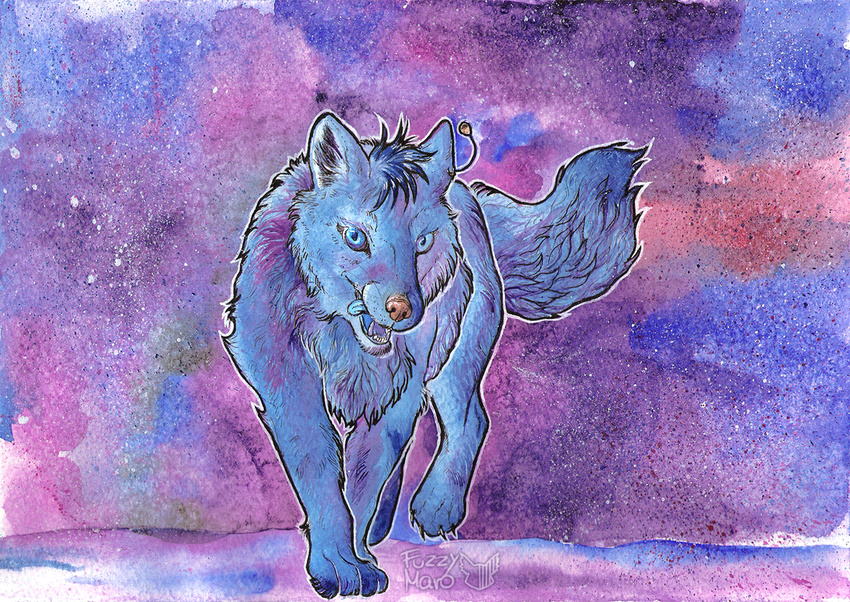 blue_fur canine feral fox fur fuzzymaro mammal traditional_media_(artwork) watercolor_(artwork)