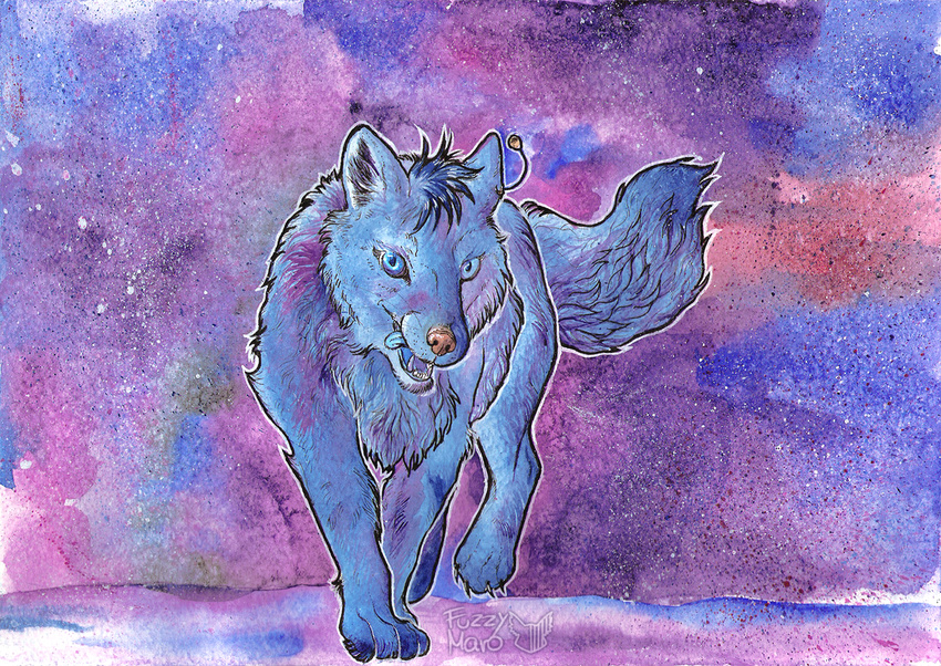 abstract_background blue_eyes blue_fur canine ear_piercing feral fox fur fuzzymaro mammal open_mouth piercing pink_nose traditional_media_(artwork) watercolor_(artwork)