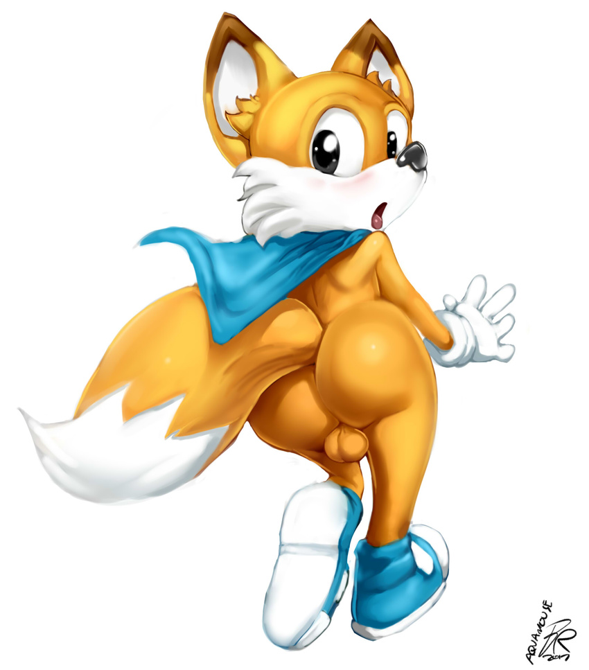 anthro backsack balls butt byondrage canine fox lucky's_tale lucky_the_fox male mammal solo