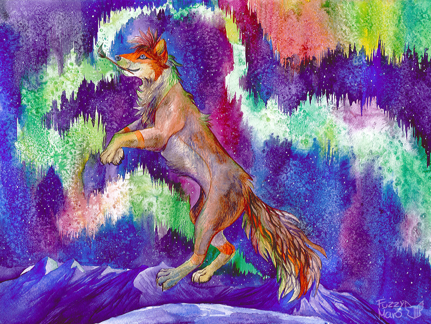 aurora_borealis canine feral fox fur fuzzymaro jumping mammal mountain multicolored_fur night orange_fur outside traditional_media_(artwork) two_tone_fur watercolor_(artwork) white_fur