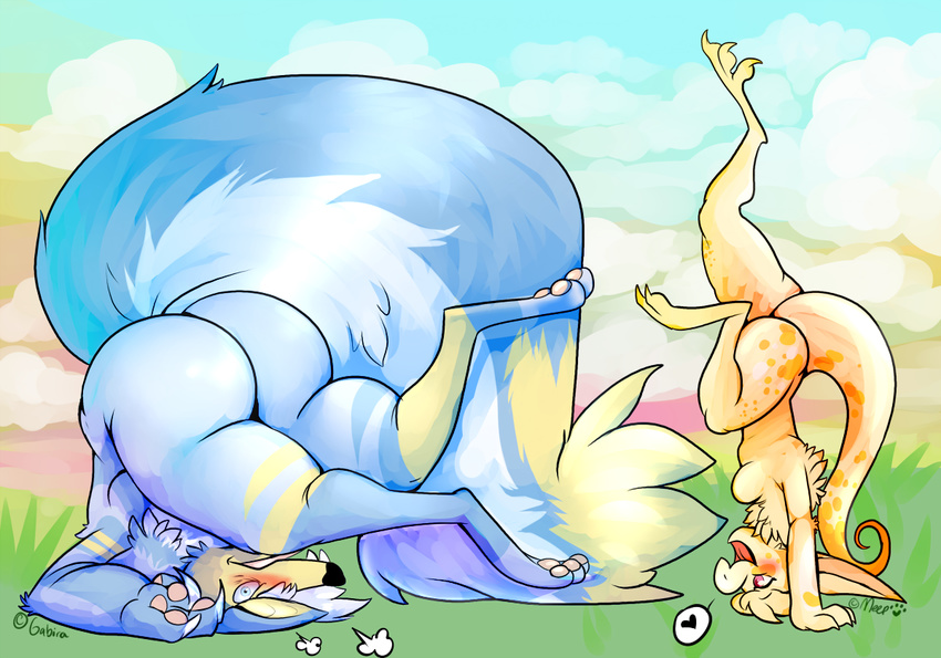 &lt;3 anthro big_butt blue_fur blush butt canine duo female fur gabira gabira_(character) handstand mammal meep_(artist) nude scramble_(meep) upside_down yellow_fur