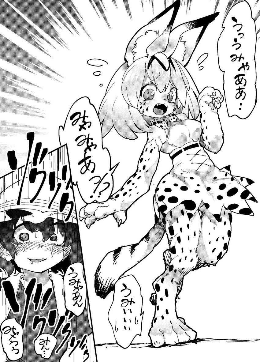 feline human kaban kemono_friends mammal serval serval_(kemono_friends) sigmarion