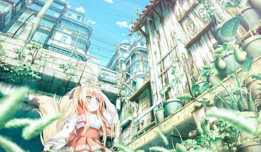 absurdres animal_ears barbed_wire blonde_hair blush day fox fox_ears fox_girl fox_tail hair_ornament highres holding_lantern lantern long_hair looking_away original parted_lips pipes plant potted_plant power_lines red_skirt scenery shiro_dai_kitsune sign skirt solo tail x_hair_ornament yellow_eyes