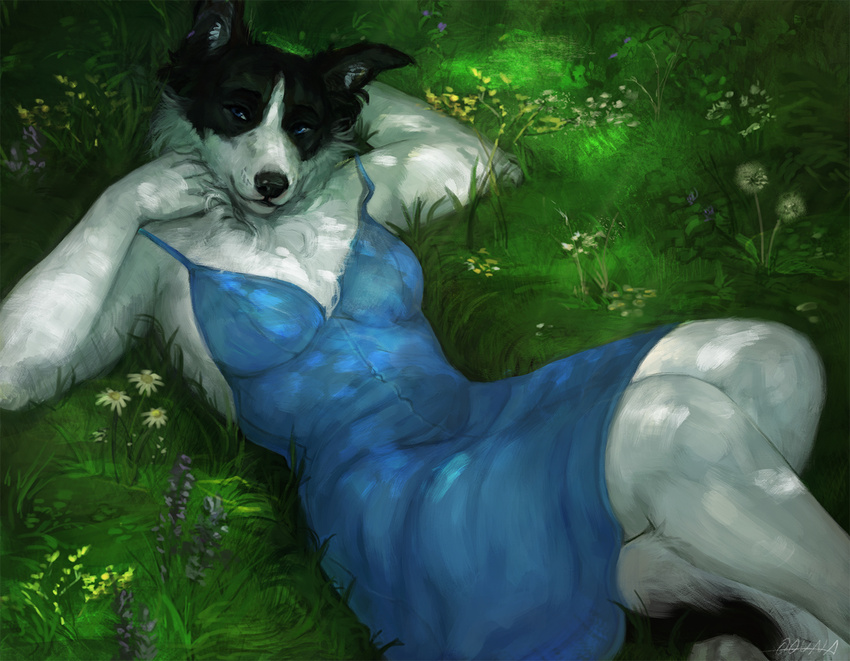 2016 anthro black_fur black_nose blue_eyes border_collie breasts canine clothed clothing collie digital_media_(artwork) dog dress english_text female flower fluffy fur grass looking_at_viewer lying mammal on_back oouna plant signature smile solo text tuft white_fur