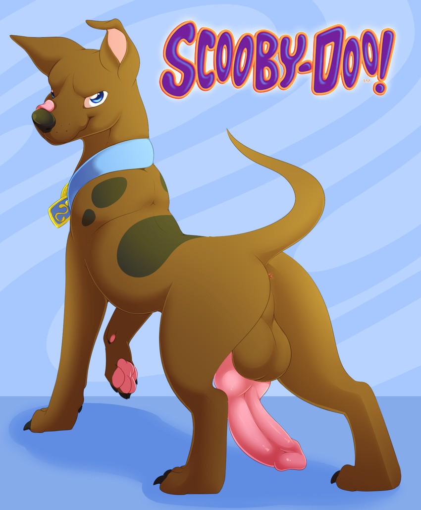 2017 animal_genitalia animal_penis anus balls blue_eyes butt camychan canine canine_penis claws collar dog feral great_dane hi_res hindpaw knot licking licking_lips looking_at_viewer looking_back male mammal pawpads paws penis pink_pawpads pink_penis scooby-doo scooby-doo_(series) smile solo text toe_claws tongue tongue_out