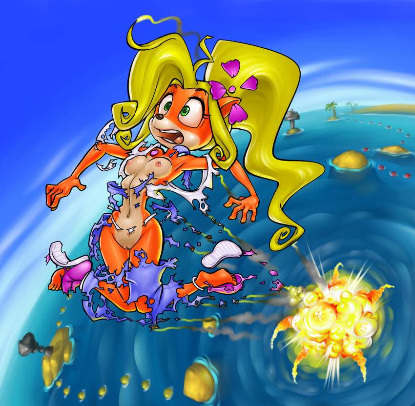 5_fingers anthro areola bandicoot bare_shoulders black_nose blonde_hair blue_sky breasts burning burnt burnt_clothes burnt_hair clothing coco_bandicoot countershade_face countershade_torso countershading crash_bandicoot_(series) curly_hair day detailed_background digital_media_(artwork) edit exploding_clothes explosion eyebrows eyelashes female flower flower_in_hair footwear full-length_portrait fur green_eyes hair hair_ornament island knees_together knees_together_feet_apart lips mammal mario-grant marsupial medium_breasts midriff multicolored_fur navel nipples no_underwear open_mouth orange_fur outside overalls palm_tree pink_nipples pink_shoes pink_tongue plant ponytail portrait pussy raised_eyebrows ripples sand sea shirt shoes side_view sky small_pupils smoke solo surprise suspenders tan_countershading tan_fur teeth tongue toony tree two_tone_fur uncensored video_games water wave white_shirt