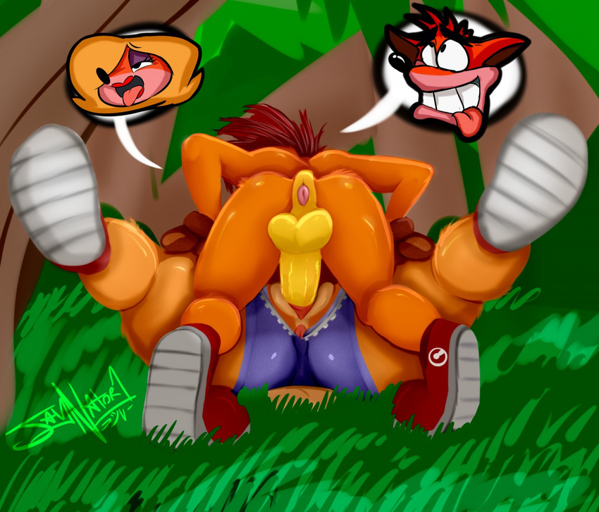 anthro anus balls bandicoot butt clothed clothing crash_bandicoot crash_bandicoot_(series) erection female footwear hair half-closed_eyes jaynatorburudragon jungle lying male male/female mammal marsupial on_back on_floor on_top open_mouth outside penetration penis presenting presenting_anus presenting_hindquarters raised_leg sex shoes shorts smile spread_legs spreading tawna_bandicoot thick_thighs tongue tongue_out uncut vaginal vaginal_penetration video_games