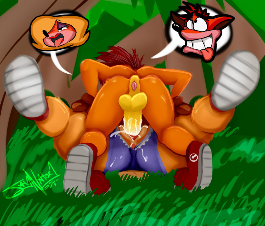 anthro anus balls bandicoot butt clothed clothing crash_bandicoot crash_bandicoot_(series) cum cum_in_pussy cum_inside cum_on_penis erection female footwear hair half-closed_eyes jaynatorburudragon jungle lying male male/female mammal marsupial on_back on_floor on_top open_mouth orgasm outside penetration penis presenting presenting_anus presenting_hindquarters raised_leg sex shoes shorts smile spread_legs spreading tawna_bandicoot thick_thighs tongue tongue_out uncut vaginal vaginal_penetration video_games