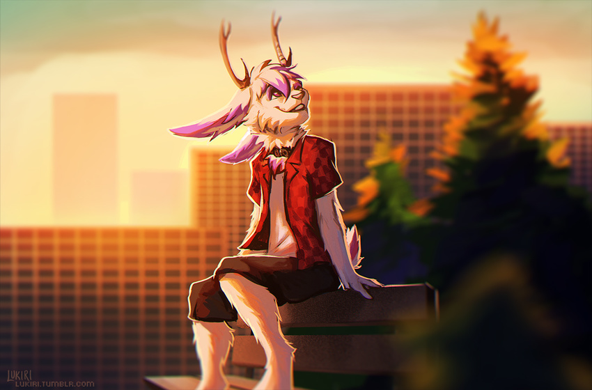 anthro antlers clothed clothing day detailed_background horn jackalope lagomorph lukiri male mammal outside sitting smile solo