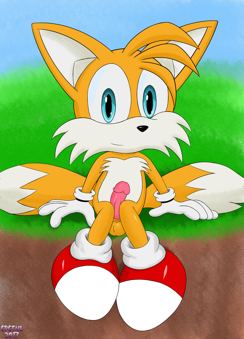 balls canine cpctail cub fox male mammal penis solo sonic_(series) tails_(disambiguation) tails_miles_prower tails_prower young