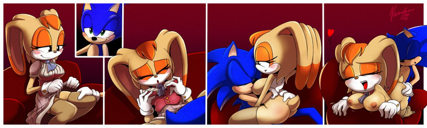 nancher sonic_team sonic_the_hedgehog tagme vanilla_the_rabbit