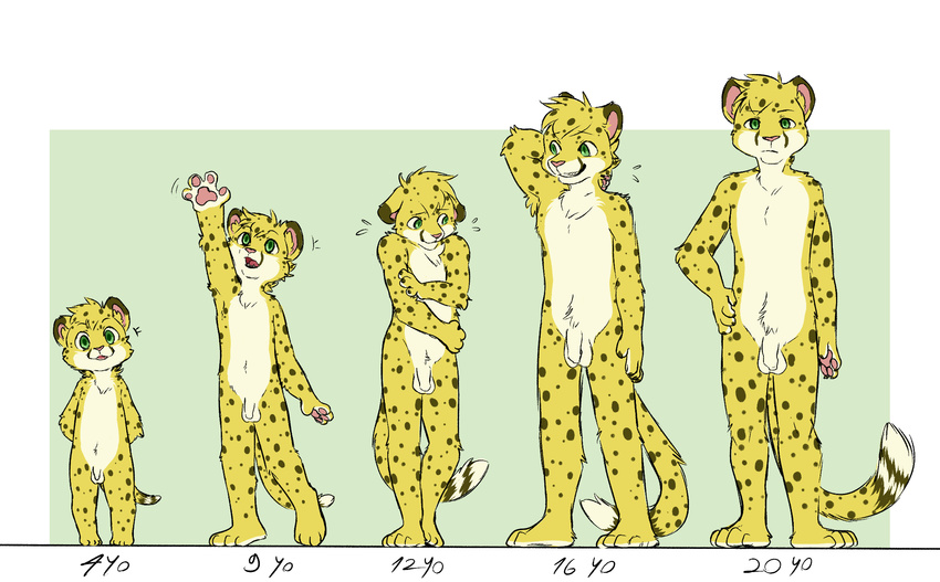 aging anthro balls cheetah comparison cub feline flaccid fur green_eyes head_tuft hi_res lineup male mammal nude paws penis salmy solo spots spotted_fur teenager thatwildmary young