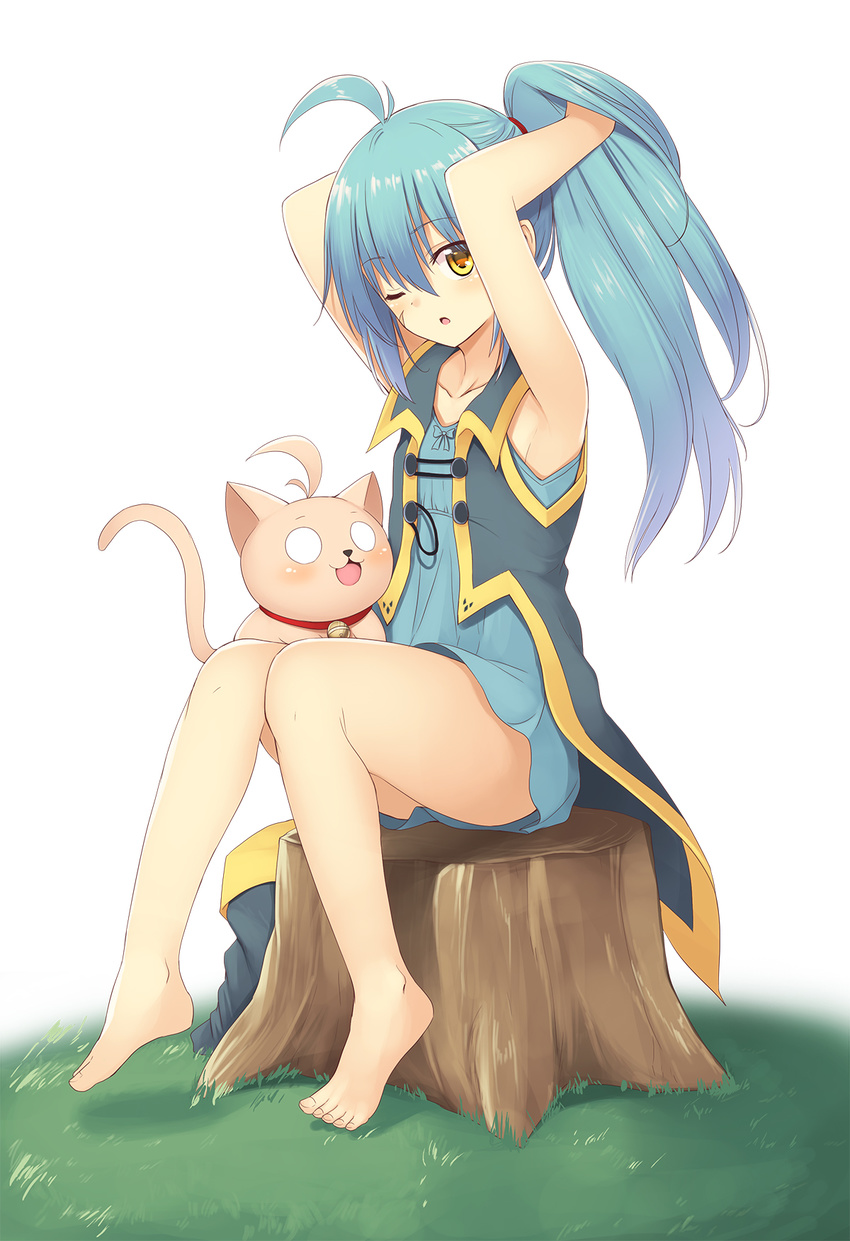 ;o adjusting_hair ahoge alternate_hairstyle animal animal_on_lap armpits arms_up bangs bare_arms bare_legs bare_shoulders barefoot bell bell_collar blue_dress blue_hair blue_ribbon cat collar collarbone commentary_request dress eyebrows_visible_through_hair facial_scar flat_chest full_body grass hair_between_eyes hair_tie hand_in_hair high_ponytail highres jingle_bell long_hair looking_at_viewer looking_to_the_side mahcdai o_o one_eye_closed original outdoors planol_note ponytail ribbon scar scar_on_cheek shiny shiny_hair short_dress sideways_glance sitting sleeveless sleeveless_dress sleeveless_jacket toenails tree_stump white_background yellow_eyes